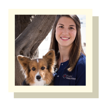 CVT-Jessica-Rocket Certified Vet Tech Jessica Rocket - CARE Surgery Center